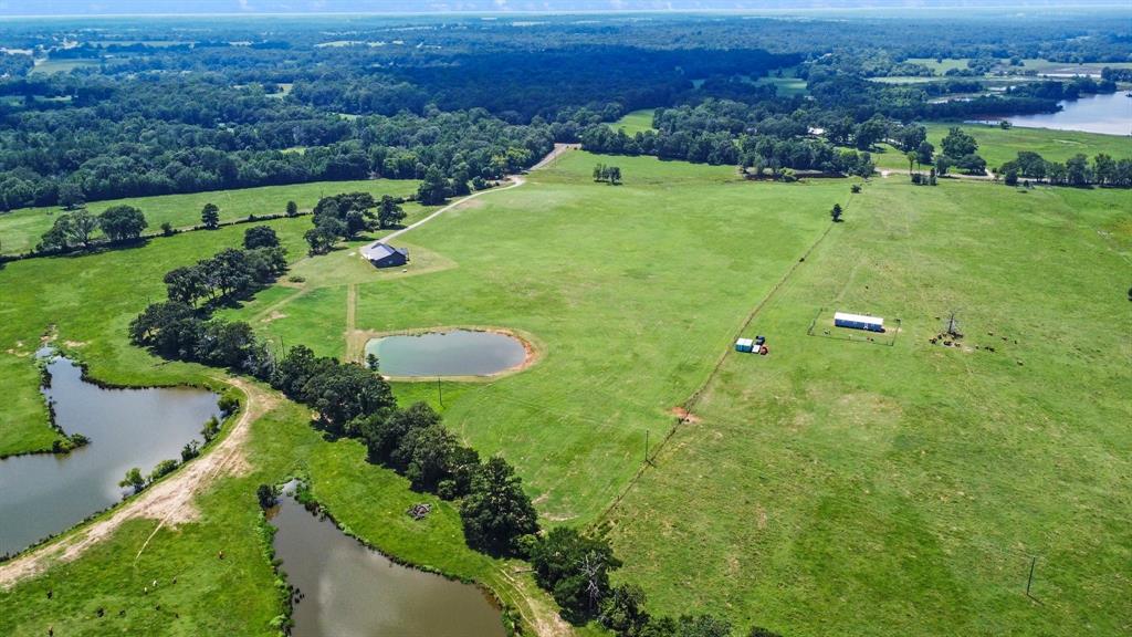 9089 County Road 225, Oakwood, Texas image 41