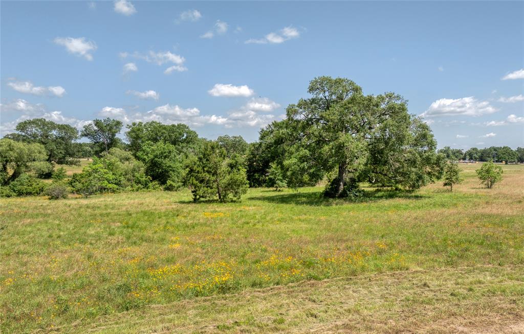 296 Bellwood Lake Lane, Bellville, Texas image 1