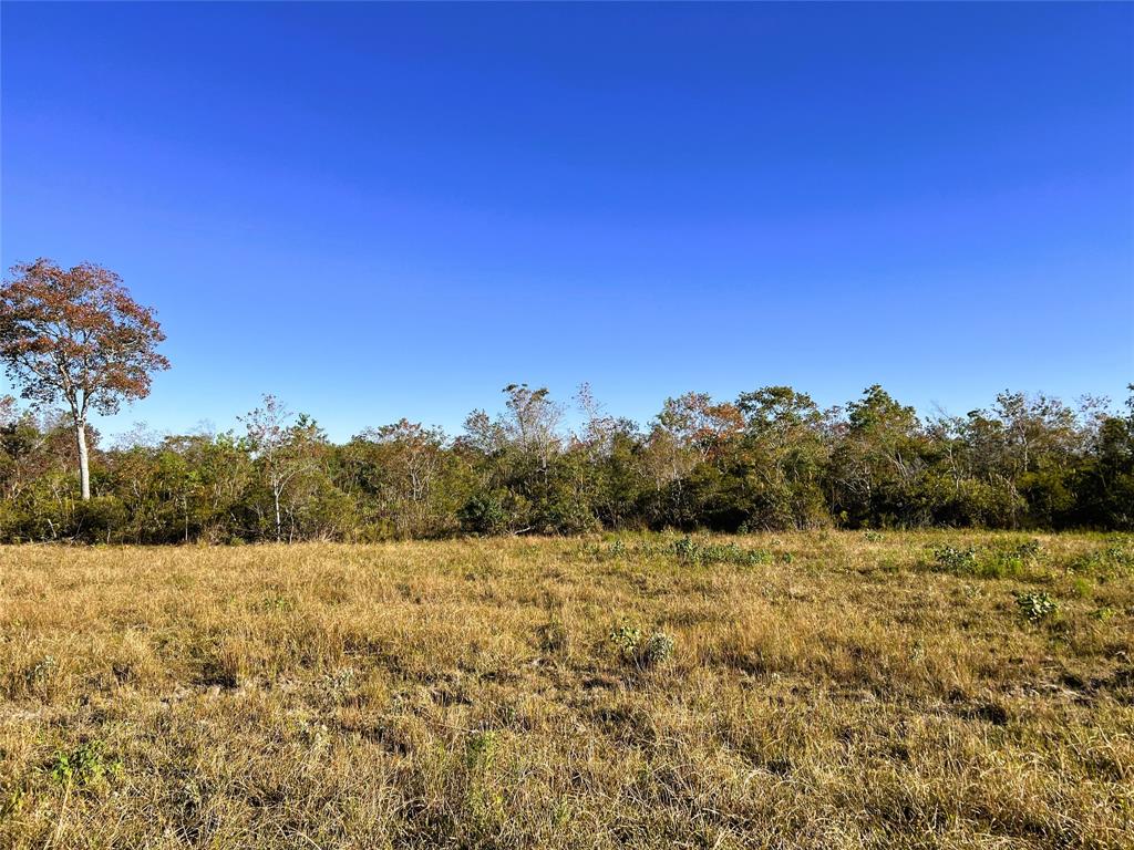 0018 Eagle Rd, Anahuac, Texas image 1