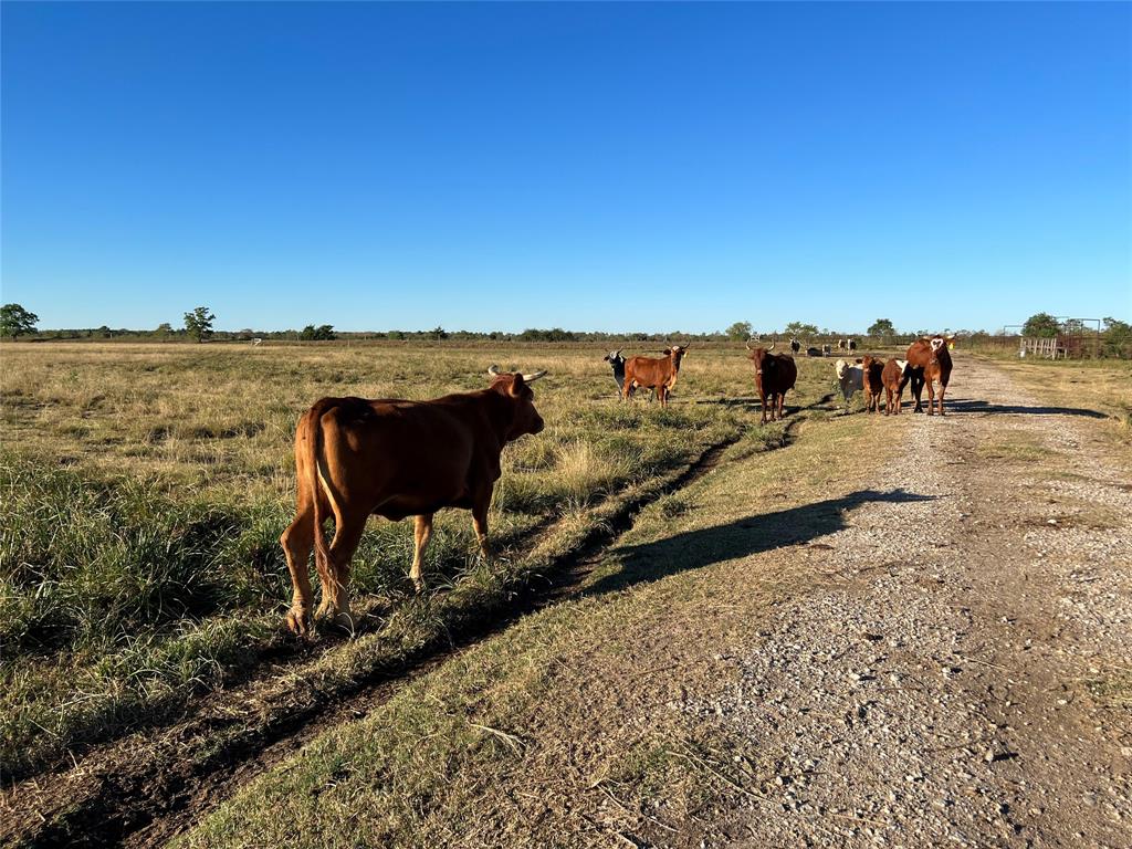 0018 Eagle Rd, Anahuac, Texas image 2