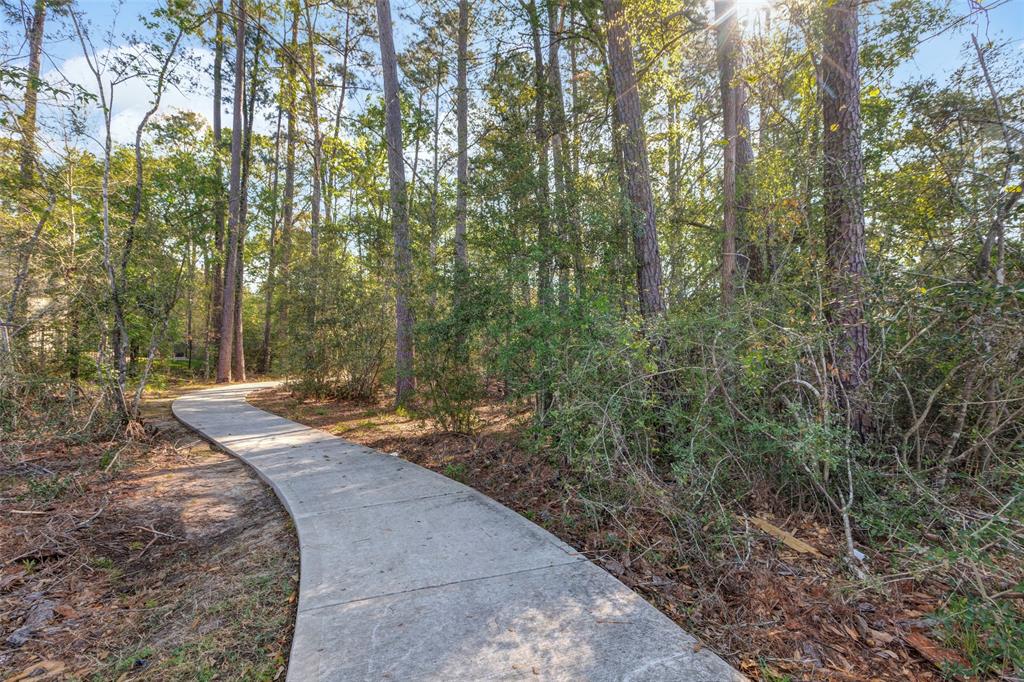 28024 Dove Chase Drive, Spring, Texas image 34