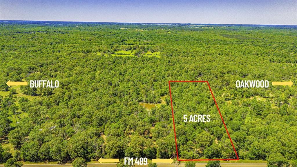 Lot 2 TBD Fm 489, Oakwood, Texas image 1
