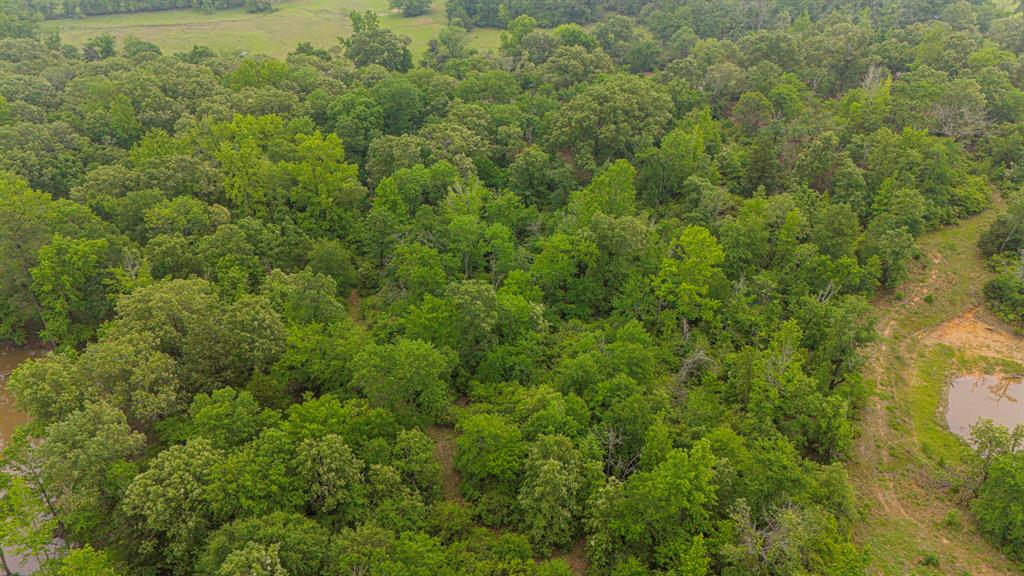 Lot 2 TBD Fm 489, Oakwood, Texas image 11