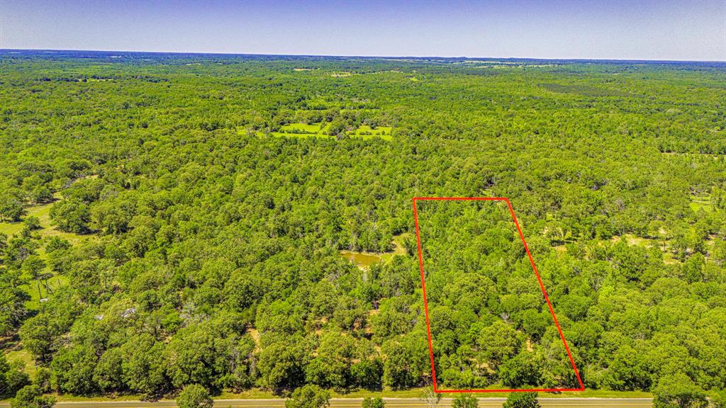 Lot 2 TBD Fm 489, Oakwood, Texas image 9