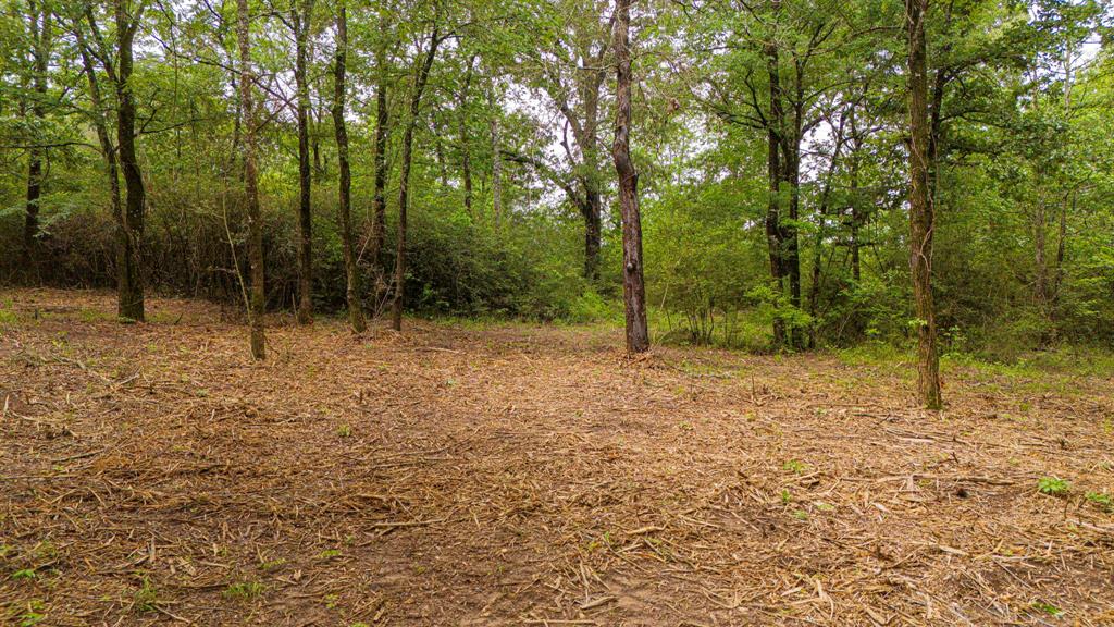 Lot 2 TBD Fm 489, Oakwood, Texas image 4
