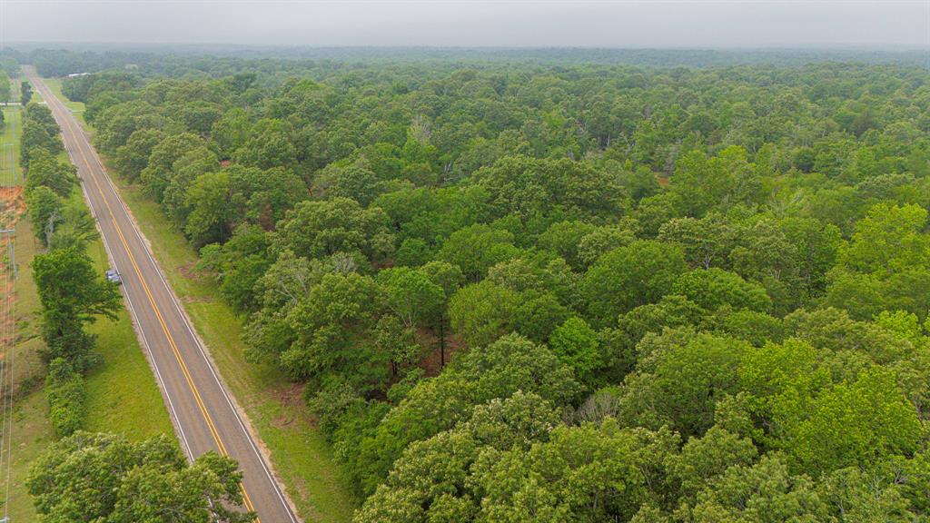 Lot 2 TBD Fm 489, Oakwood, Texas image 12