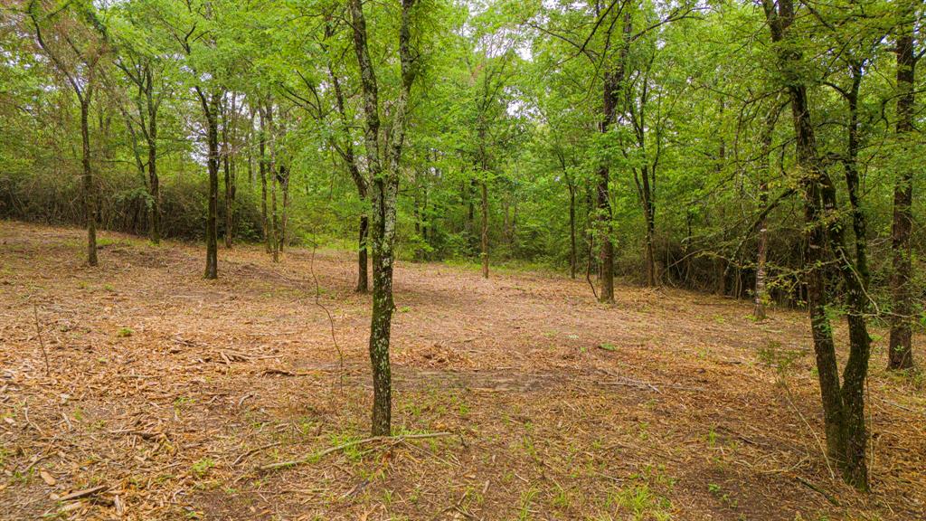 Lot 2 TBD Fm 489, Oakwood, Texas image 5