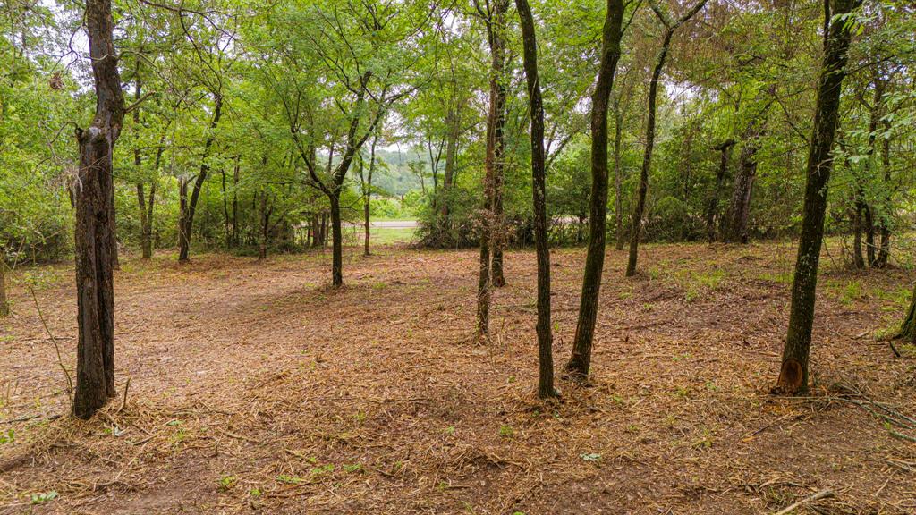 Lot 2 TBD Fm 489, Oakwood, Texas image 7