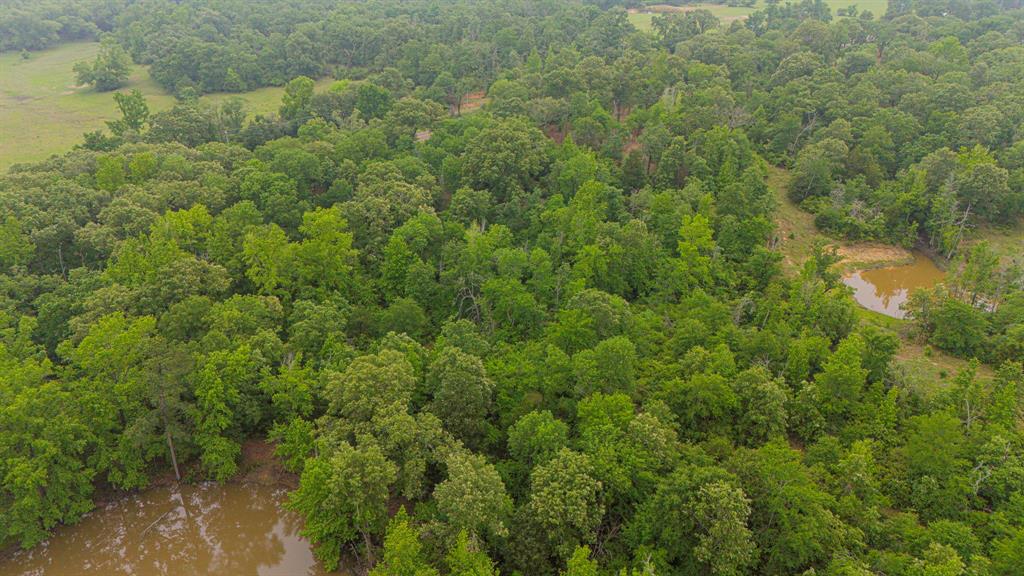 Lot 2 TBD Fm 489, Oakwood, Texas image 10