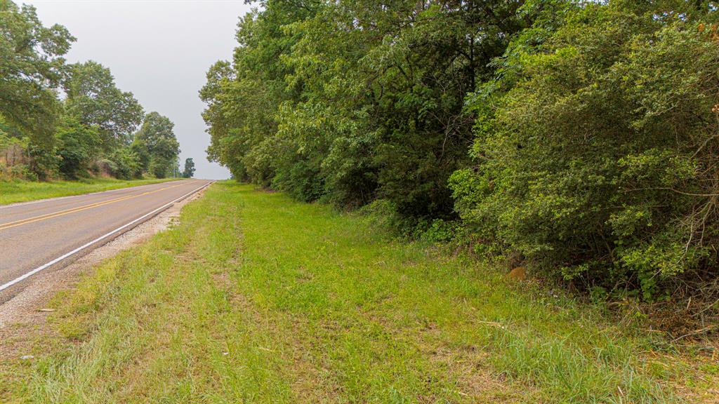 Lot 2 TBD Fm 489, Oakwood, Texas image 8