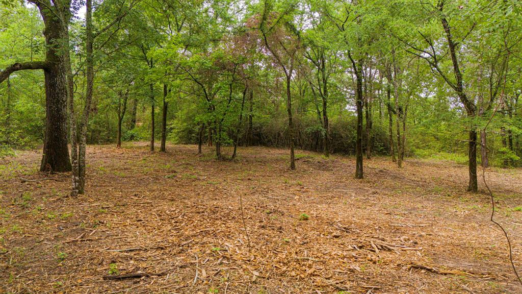 Lot 2 TBD Fm 489, Oakwood, Texas image 6