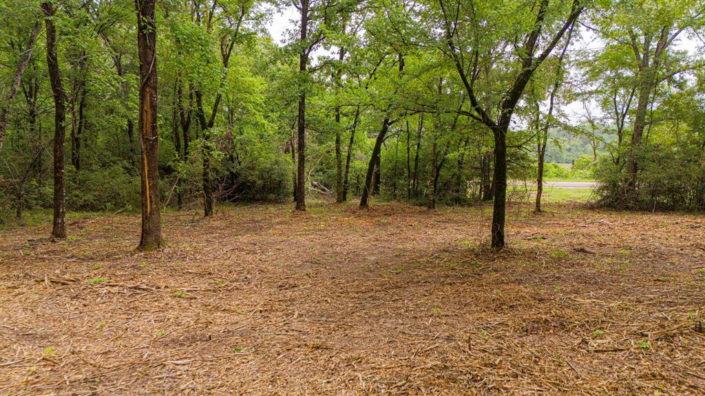 Lot 2 TBD Fm 489, Oakwood, Texas image 3