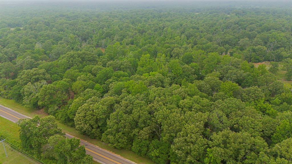 Lot 2 TBD Fm 489, Oakwood, Texas image 13