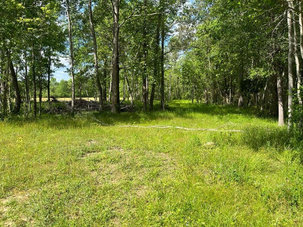 TBD Fm 770 Road, Batson, Texas image 7