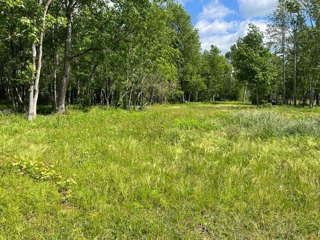 TBD Fm 770 Road, Batson, Texas image 6