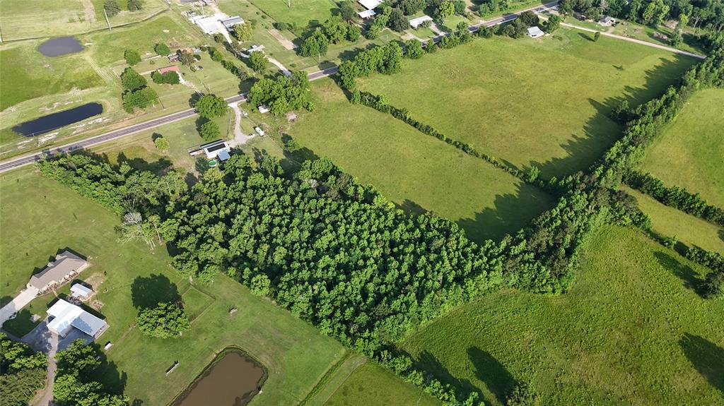 TBD Fm 770 Road, Batson, Texas image 21