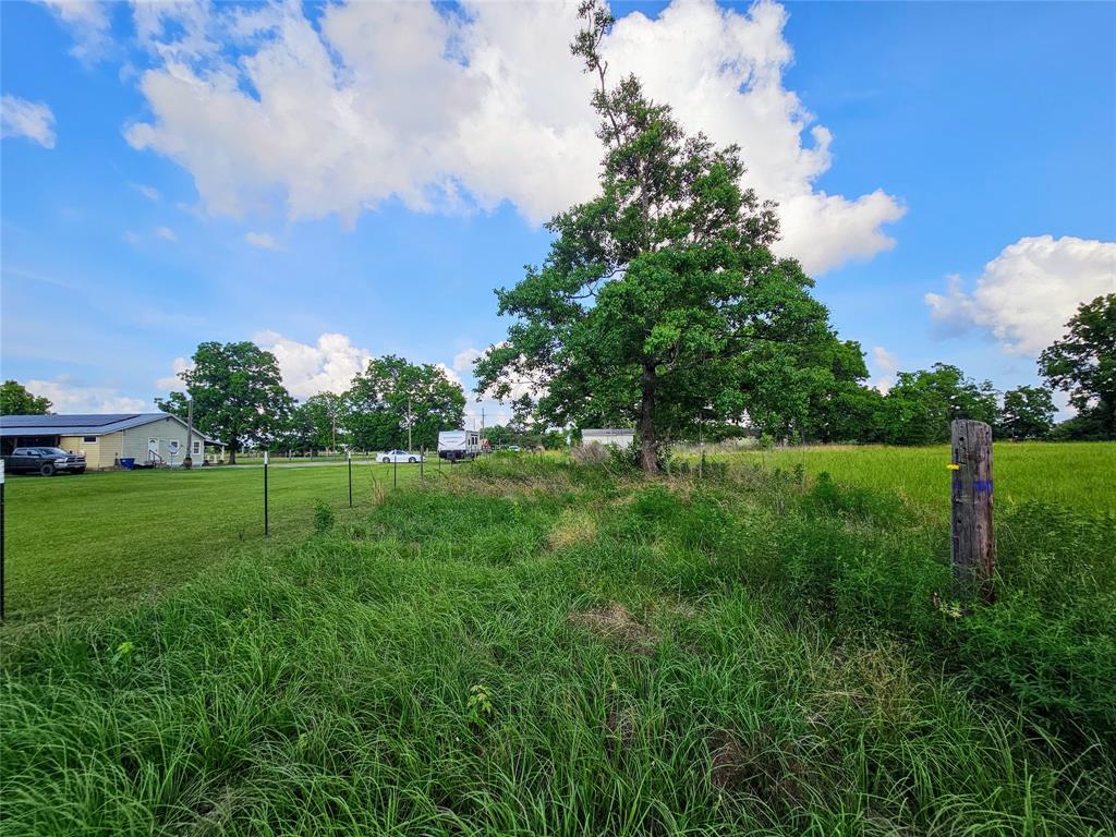 TBD Fm 770 Road, Batson, Texas image 11