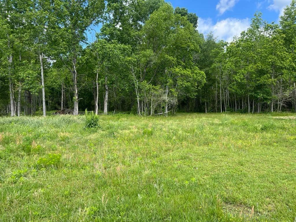 TBD Fm 770 Road, Batson, Texas image 4