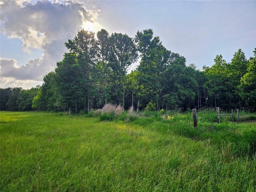 TBD Fm 770 Road, Batson, Texas image 13