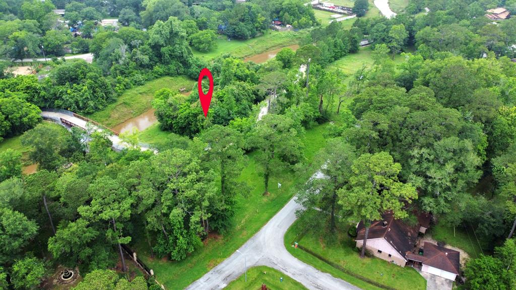 Bretshire Dr Drive, Houston, Texas image 4