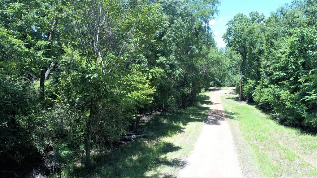 TBD Forest Road, Crockett, Texas image 2