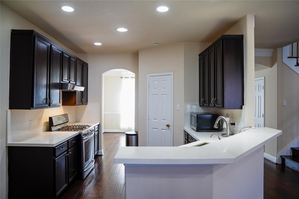 18706 Cypress Lake Village Drive, Cypress, Texas image 7