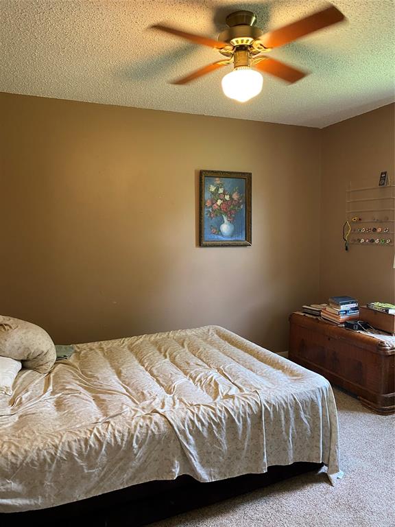 3032 County Road 510j Street, Brazoria, Texas image 15