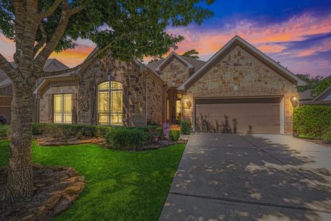 A home in Conroe