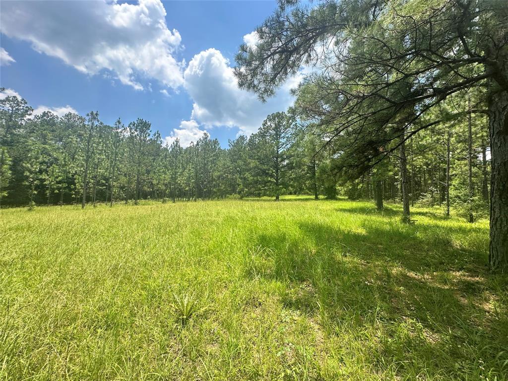 222 County Road 3085, Colmesneil, Texas image 44