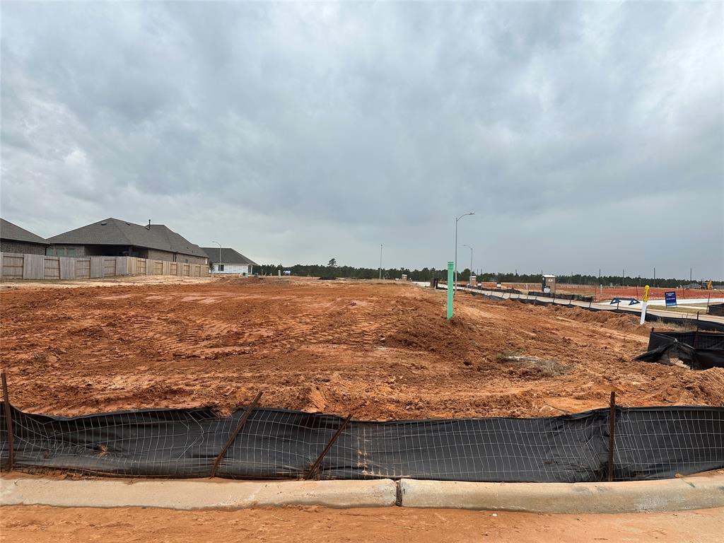 8502 Tropical Breeze, Iowa Colony, Texas image 20