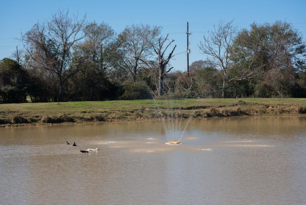 25062 Highway 159, Hempstead, Texas image 27