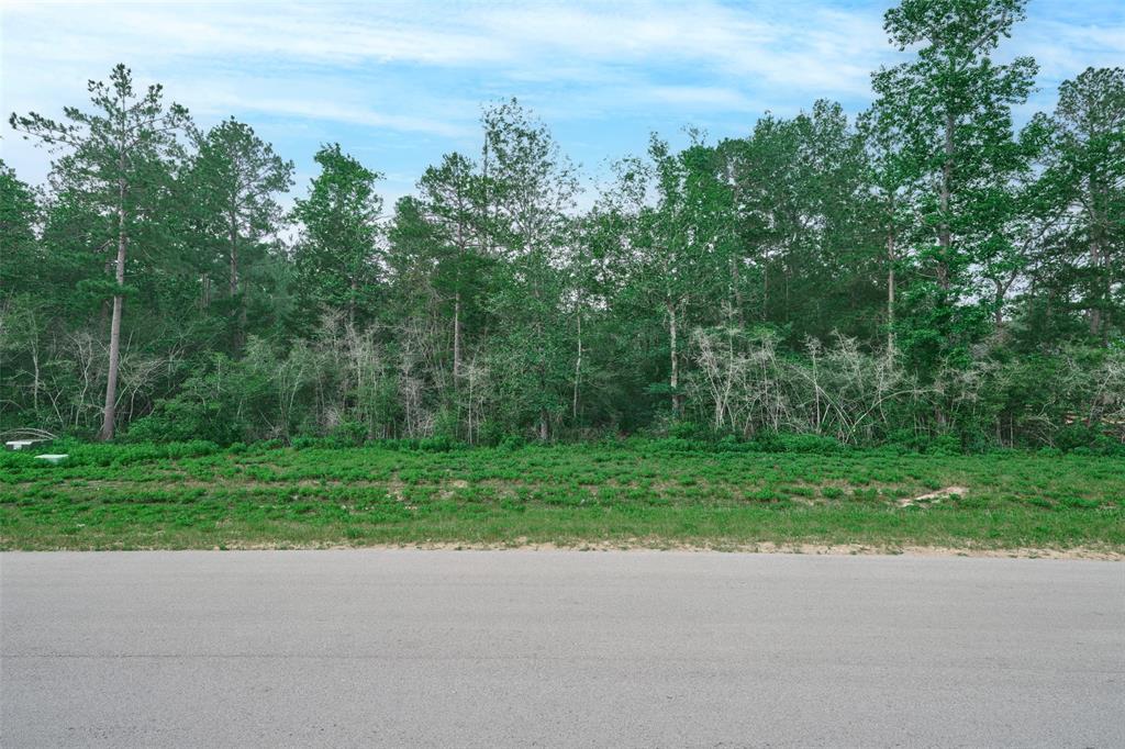 15816 Wooded Trail Way, Willis, Texas image 5