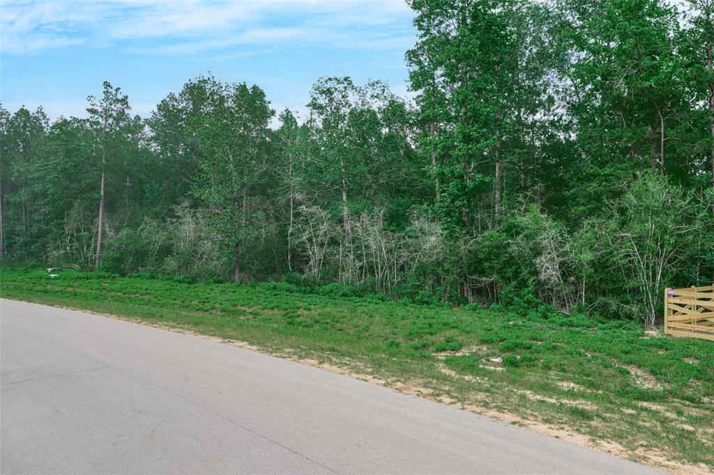 15816 Wooded Trail Way, Willis, Texas image 8