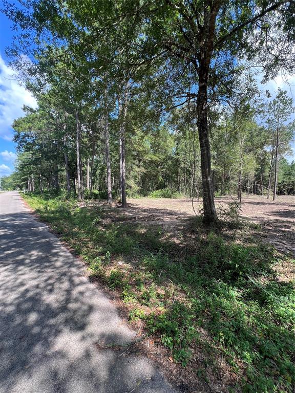 TBD Lot 3 Deerwood Drive, Plantersville, Texas image 6