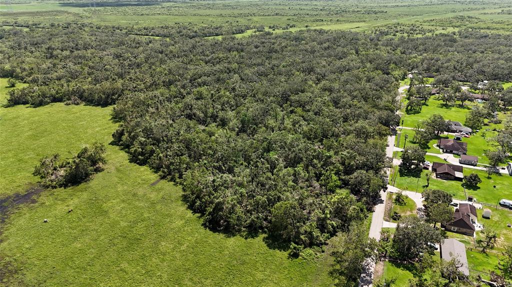 Cr 295, Bryan Road, Jones Creek, Texas image 4