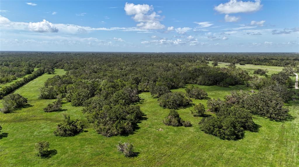 Cr 295, Bryan Road, Jones Creek, Texas image 9