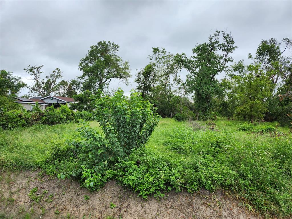 Los Angeles Street, Houston, Texas image 3