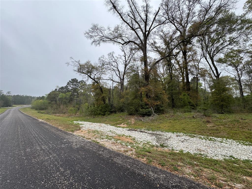 2-11-15 Remington Road, Huntsville, Texas image 5