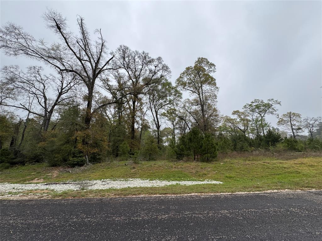 2-11-15 Remington Road, Huntsville, Texas image 4
