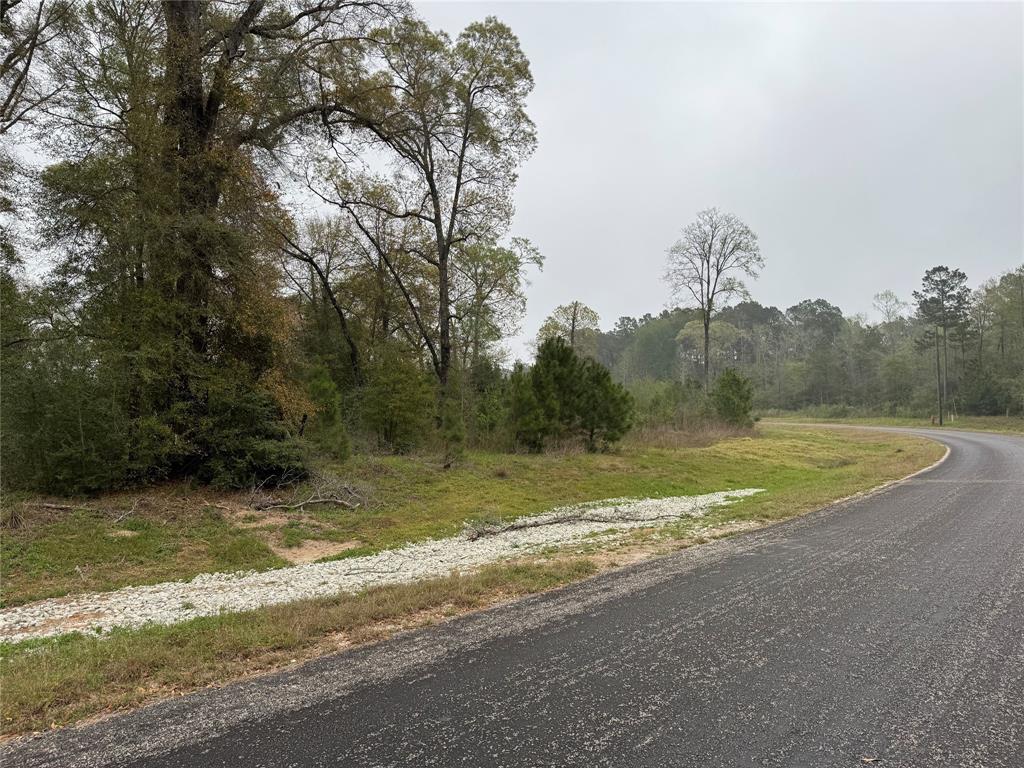 2-11-15 Remington Road, Huntsville, Texas image 6