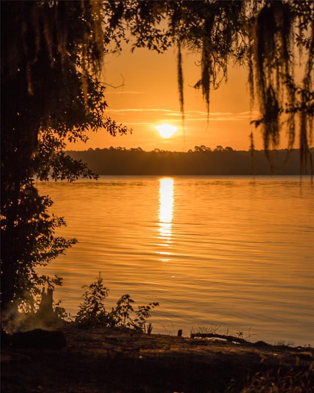 2-11-15 Remington Road, Huntsville, Texas image 22