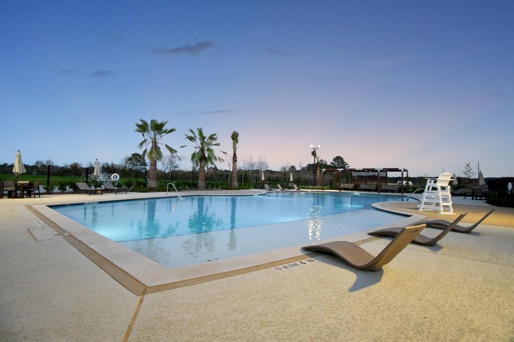 21410 Iberian Magpie Trail, Tomball, Texas image 32