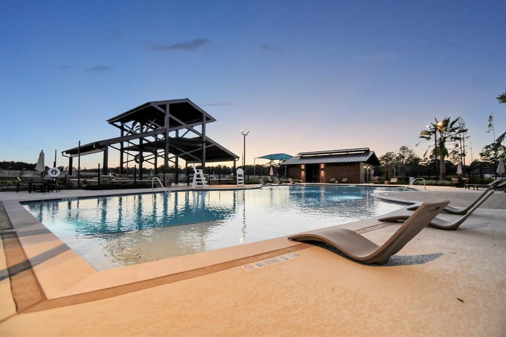 21410 Iberian Magpie Trail, Tomball, Texas image 30