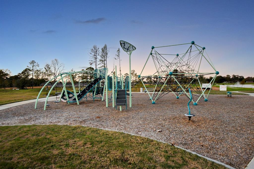 21410 Iberian Magpie Trail, Tomball, Texas image 24