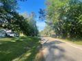 Johnson Road, Orange, Texas image 3