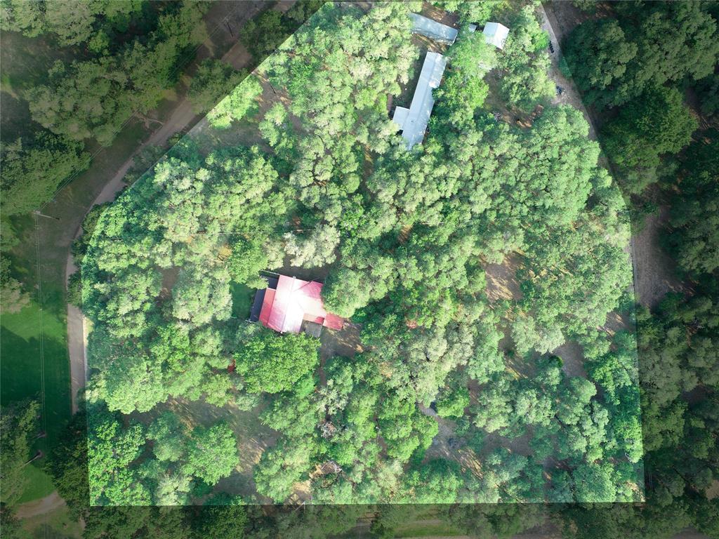 302 Bluebonnet Road, Sheridan, Texas image 4
