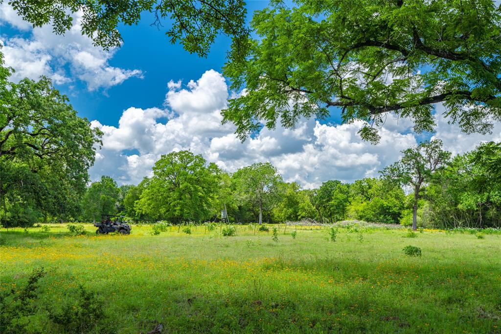 N Meyersville Road, Chappell Hill, Texas image 12