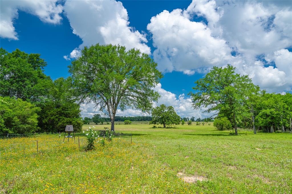 N Meyersville Road, Chappell Hill, Texas image 16