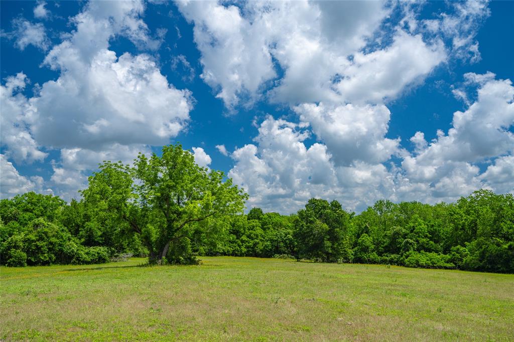 N Meyersville Road, Chappell Hill, Texas image 6