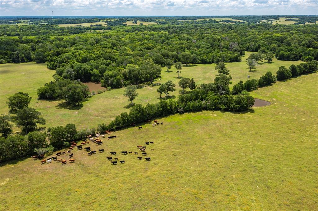 N Meyersville Road, Chappell Hill, Texas image 14